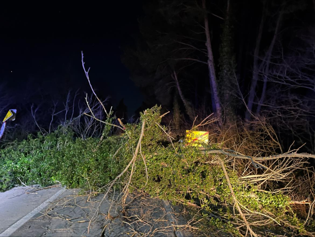 BURA STVARA PROBLEME Kod Bala Stablo Palo Na Glavnu Cestu Nekoliko