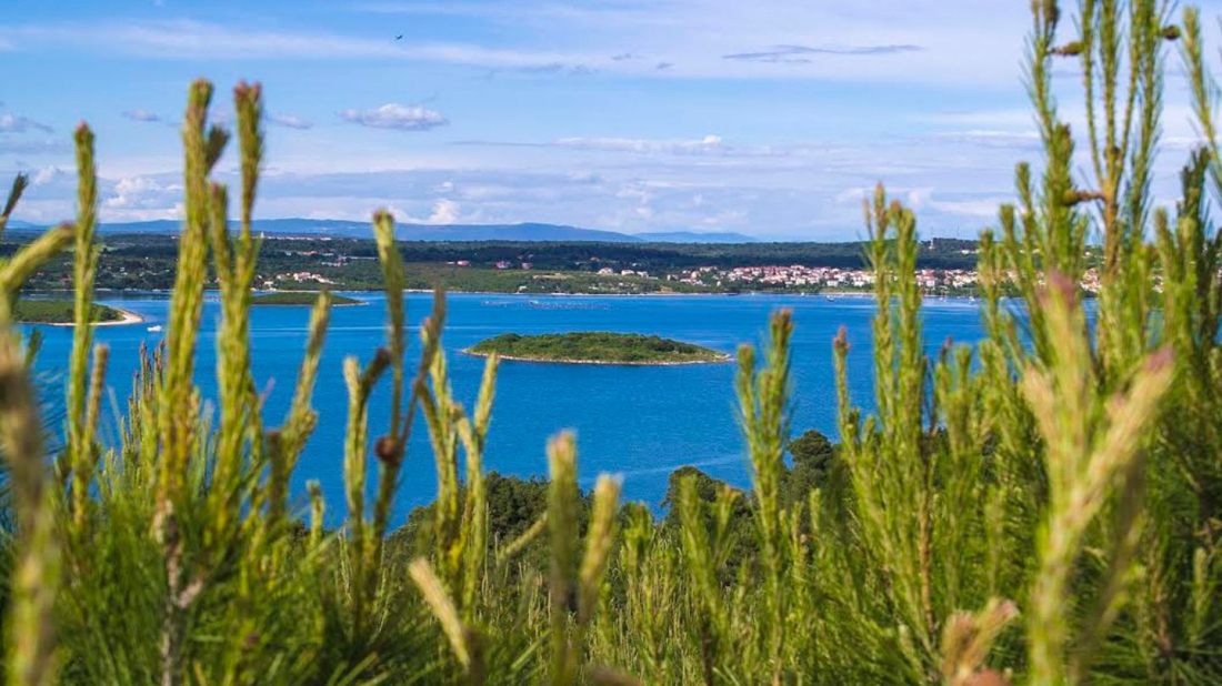 Medulinski zaljev: Dragocjeno stanište koje treba očuvati