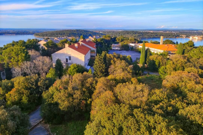 Ove subote na području Pule odvijat će se zadnje ovogodišnje izlučivanje divljači