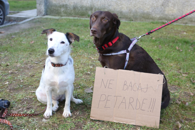 Prijatelji životinja pozivaju: Potpišite peticiju za zabranu bučne priotehnike!