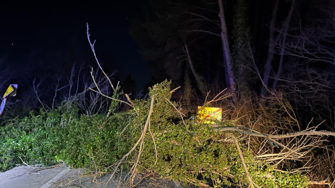 BURA STVARA PROBLEME Kod Bala stablo palo na glavnu cestu, nekoliko kilometara dalje automobil udario u srušeno stablo