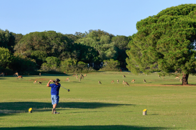 Na Brijunima je na današnji dan 1993. počeo prvi turnir u golfu održan u Republici Hrvatskoj