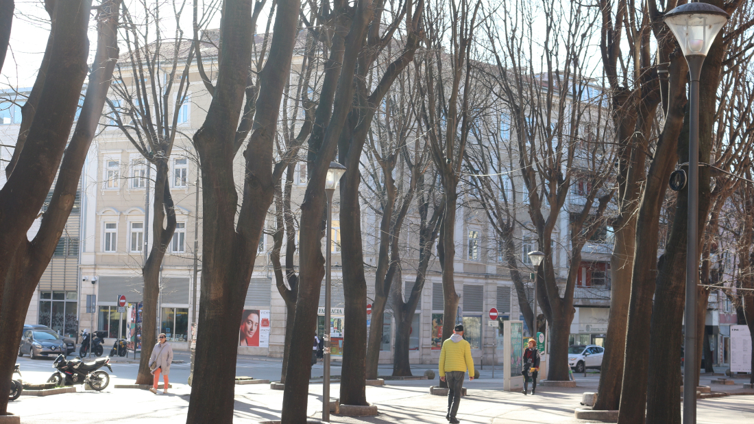 Možemo! Pula: "Precizno definirane namjene gradskih prostora guše tržišno natjecanje i javni interes"