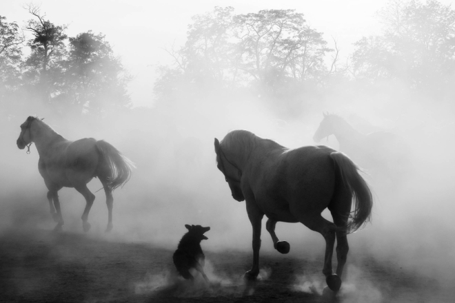 U tijeku su prijave za Smotru rovinjske fotografije