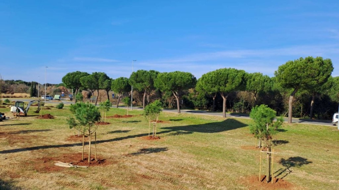 Rovinj: Uskoro započinje hortikulturno uređenje zone Gripole Spine’