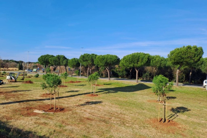 Rovinj: Uskoro započinje hortikulturno uređenje zone Gripole Spine’