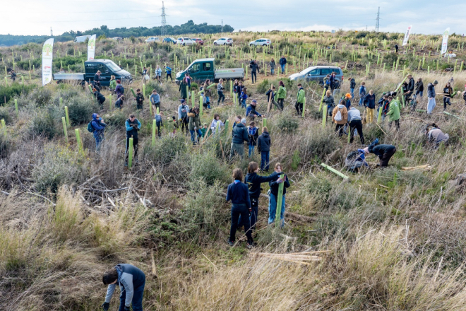 FOTO/VIDEO Čak 500 volontera posadilo preko 1600 sadnica na opožarenom pulskom području