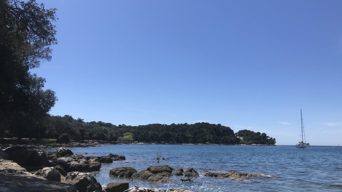 Stiže pravi proljetni vikend: Sunce i temperature do 20 °C u Istri