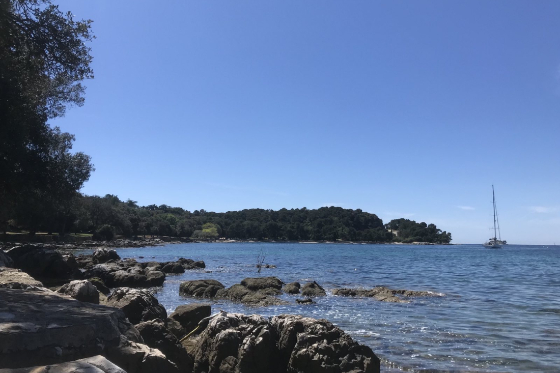 Stiže pravi proljetni vikend: Sunce i temperature do 20 °C u Istri