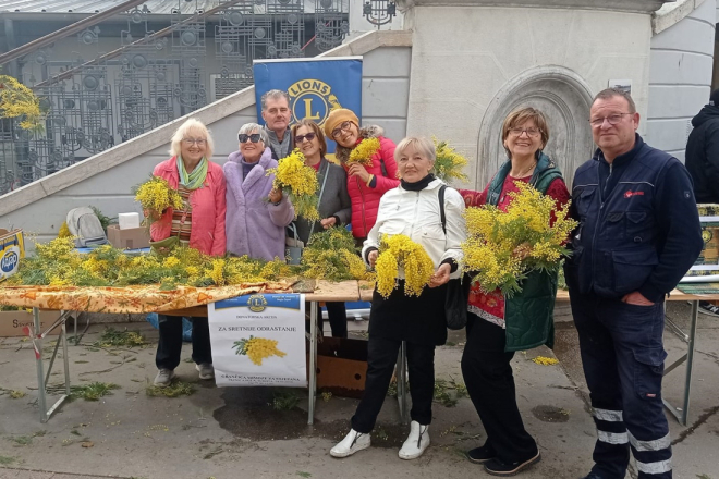 Na pulskoj tržnici ove subote kupite mimoze i pomozite djeci s karcinomom