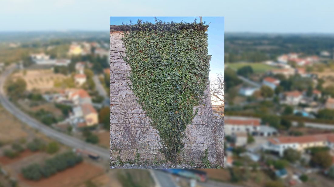 FOTO BILJEŠKA: U Kanfanaru smo naišli na prirodnu 'kartu' Istre