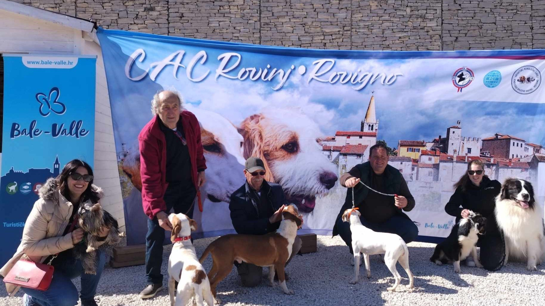 BALE DOG SHOW 2025. U Balama će ovog travnja prošetati 300 sportskih i lovnih pasmina te pasa za pratnju