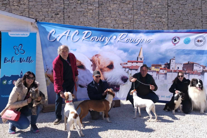 BALE DOG SHOW 2025. U Balama će ovog travnja prošetati 300 sportskih i lovnih pasmina te pasa za pratnju