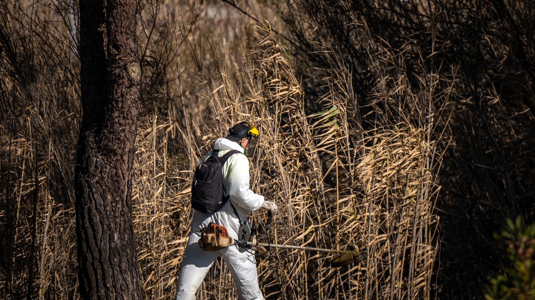 Na Facebooku pokrenuta peticija protiv prerane košnje: “Vrijeme je za promjenu pristupa”