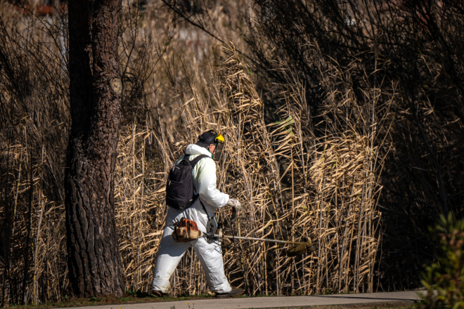Na Facebooku pokrenuta peticija protiv prerane košnje: “Vrijeme je za promjenu pristupa”