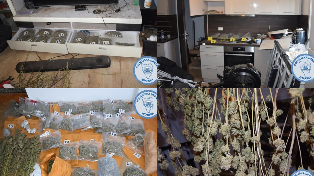 U kući kod Buja imao laboratorij za uzgoj indijske konoplje! Pronađeno preko pet kilograma marihuane