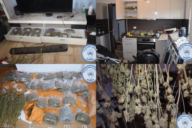 U kući kod Buja imao laboratorij za uzgoj indijske konoplje! Pronađeno preko pet kilograma marihuane