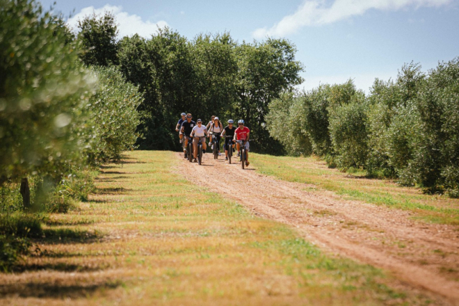 GOURM-E-BIKE: Biciklistička avantura koja spaja rekreaciju, prirodu i istarsku gastronomiju