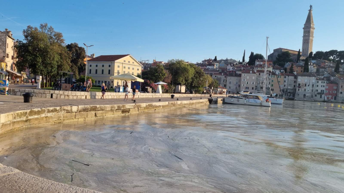 Prijeti li nam i ove godine cvjetanje mora?