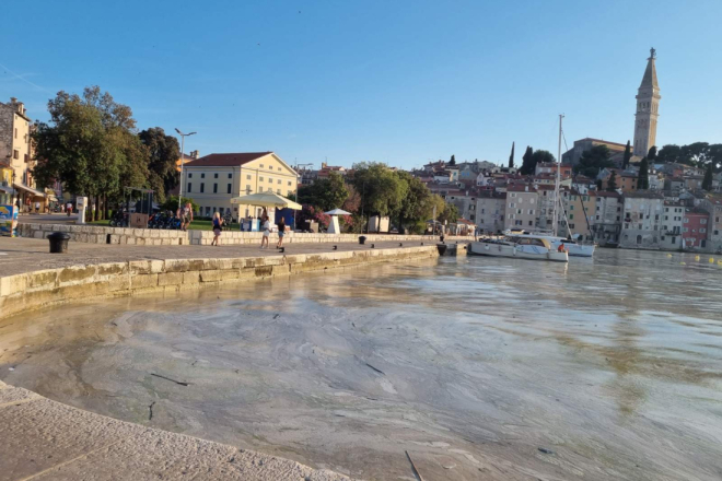Prijeti li nam i ove godine cvjetanje mora?