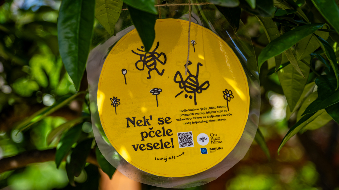Festival oprašivača na Velikom Brijunu: Edukacija i program za sve uzraste