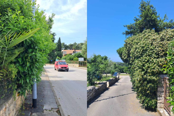 Rovinj: Komunalno redarstvo upozorava na obvezu rezanja zelenila uz ceste