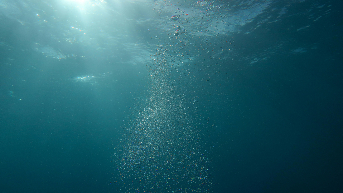 Obilježava se Svjetski dan oceana pod temom „Čudo: Održavanje onoga što održava nas“