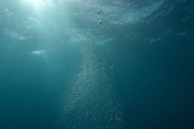 Obilježava se Svjetski dan oceana pod temom „Čudo: Održavanje onoga što održava nas“