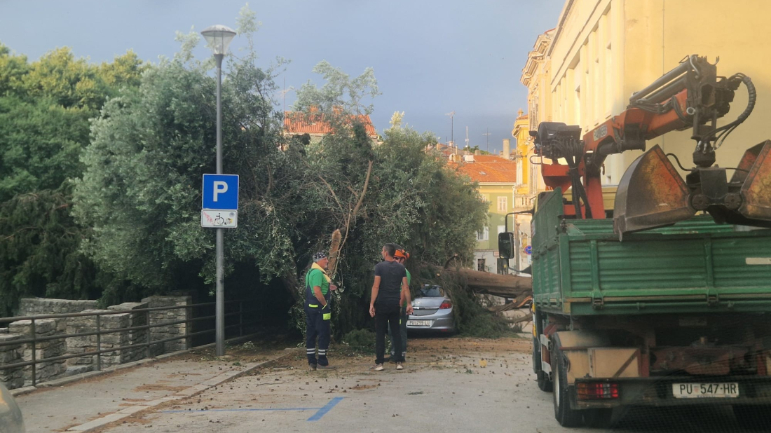 Nevrijeme i u Puli izazvalo štete, gradske službe promptno intervenirale