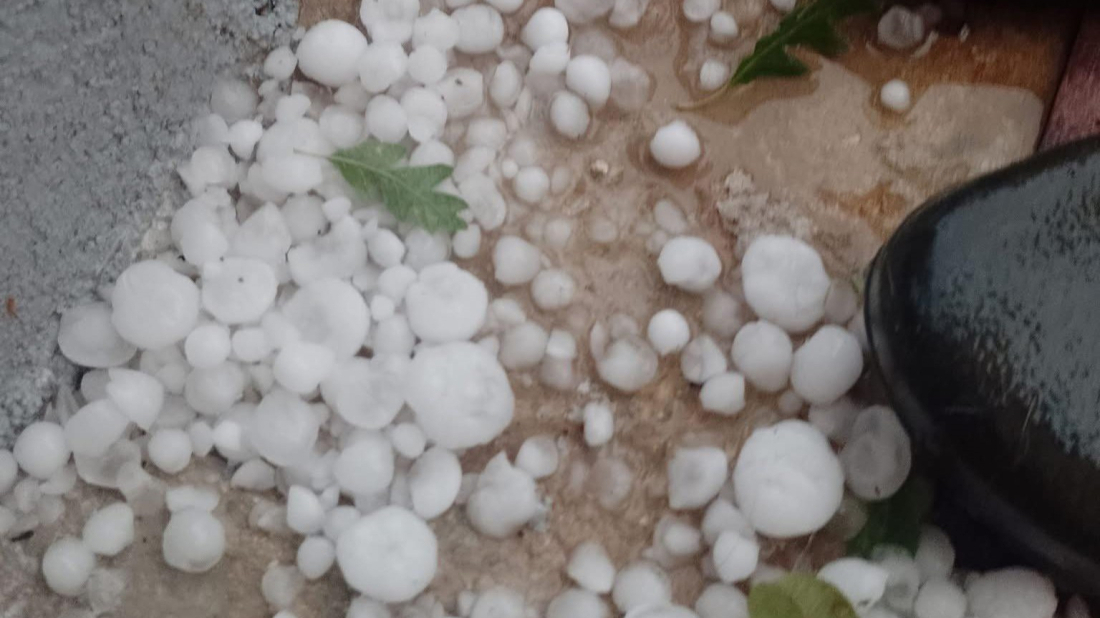 Tuča na području Svetvinčenta uzrokovala velike štete na usjevima i imovini