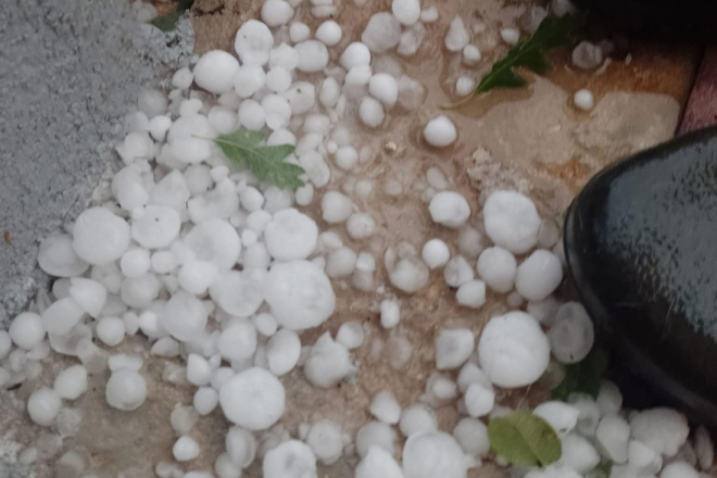 Tuča na području Svetvinčenta uzrokovala velike štete na usjevima i imovini