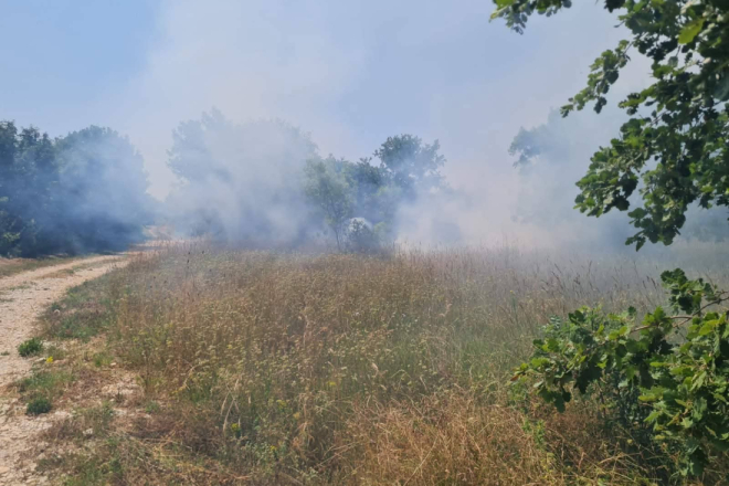 FOTO/VIDEO - Požar u Krmedu: Intervenirali vatrogasci iz Rovinja i Bala