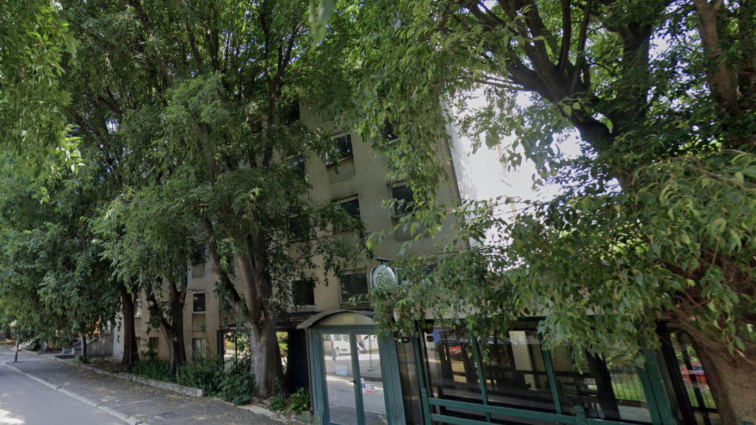 Pula ostaje zelena: Projekt uklanjanja stabala zaustavljen