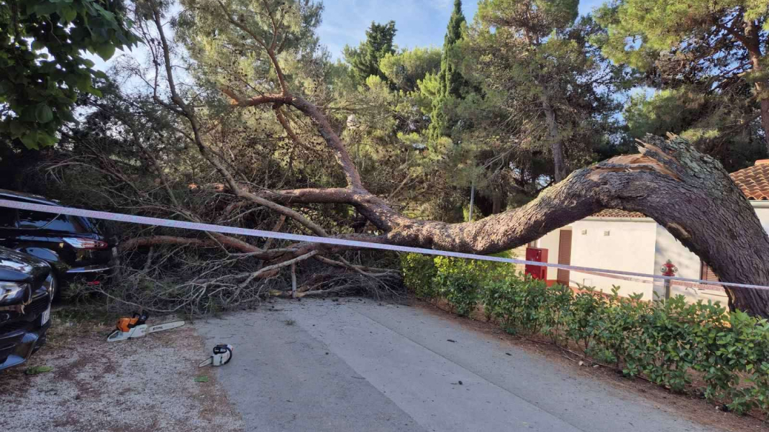 Stablo palo na šetnicu i automobile u kampu Villas Rubin – vatrogasci promptno reagirali