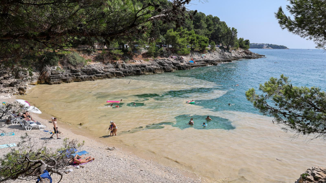 Hoće li ove godine biti cvjetanja mora u Istri? 'Sjeverni Jadran bogat je životom'