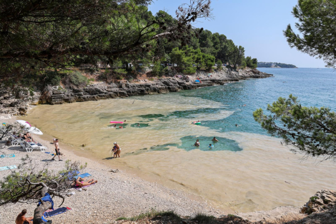 Hoće li ove godine biti cvjetanja mora u Istri? 'Sjeverni Jadran bogat je životom'