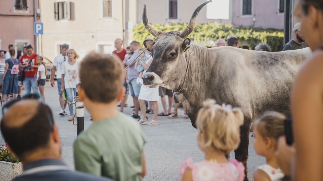U Brtonigli ove subote manifestacija „U bojama tradicije – žetvene svečanosti“