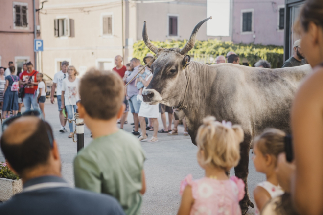 U Brtonigli ove subote manifestacija „U bojama tradicije – žetvene svečanosti“