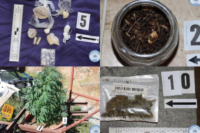 (FOTO) “Laboratorij” kod Žminja: Pronađene halucinogene gljive, LSD, novac, oružje...