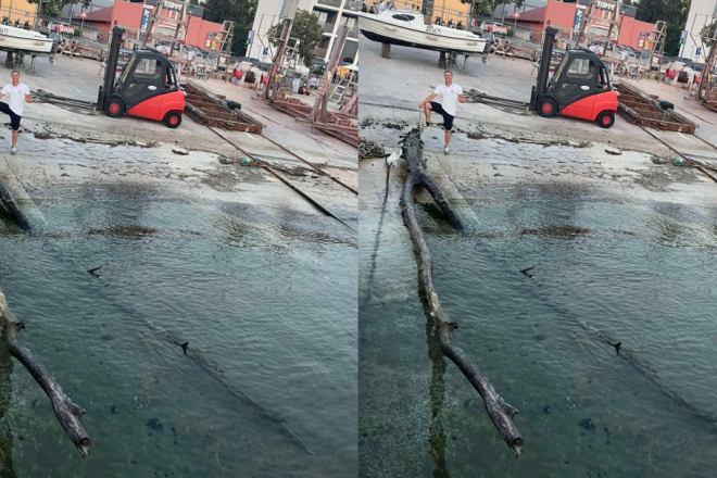 Brzom intervencijom djelatnika Lučke uprave Rovinj uklonjena opasnost s mora kod otočića Montravo