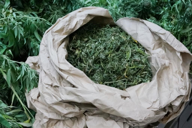 Tinejdžer s pulskih ulica pod istragom zbog trgovine drogom