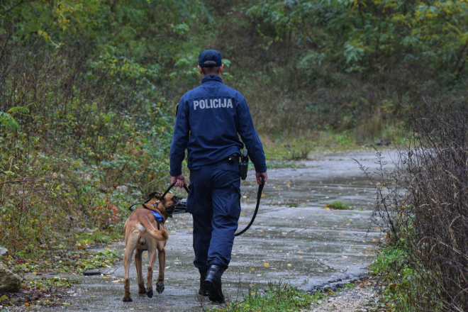 U Istri uhićen još jedan krijumčar ljudi: Muškarac iz Rumunjske zarađivao na prijevozu migranata