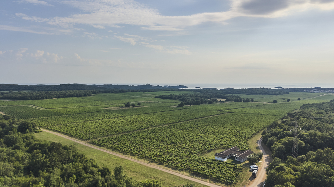 Agrolaguna započela investicijski ciklus vrijedan 10 milijuna eura