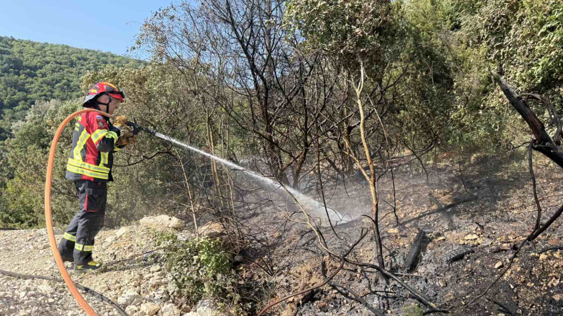 Vatrogasci JVP Rovinj uspješno ugasili požar na Limskoj dragi