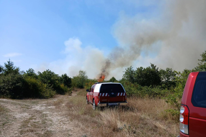 Lokaliziran požar u Marčani, vatru gasili vatrogasci i mještani