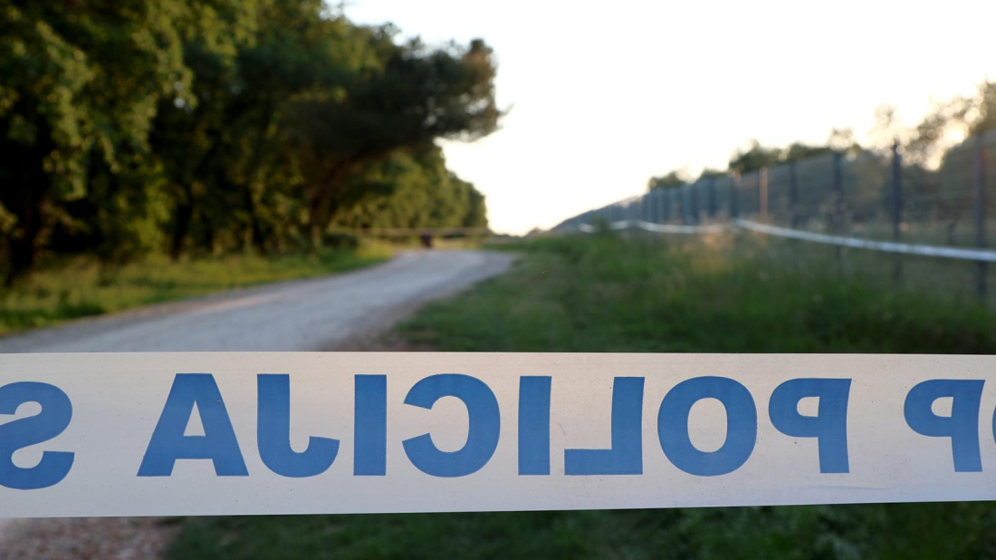 TUGA... U Istri smrtno stradalo dijete nakon što se na njega srušilo stablo