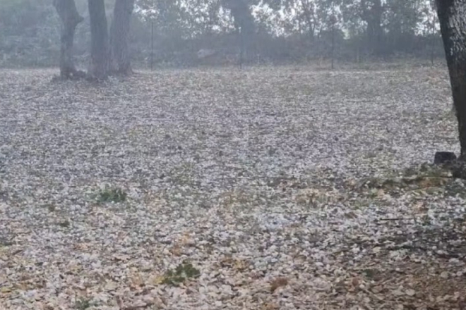 FOTO/VIDEO: Tuča zabijelila unutrašnjost Istre, temperature pale i više od deset stupnjeva