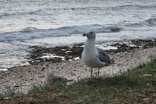 Zarobljeni u prošlosti: Kad politika ponovno otvara ratove koje građani odavno žele zatvoriti