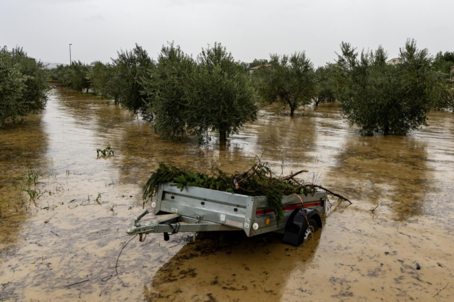 Novigrad zbraja štete nakon poplave: Grad pozvao građane da prijave oštećenja do 9. rujna