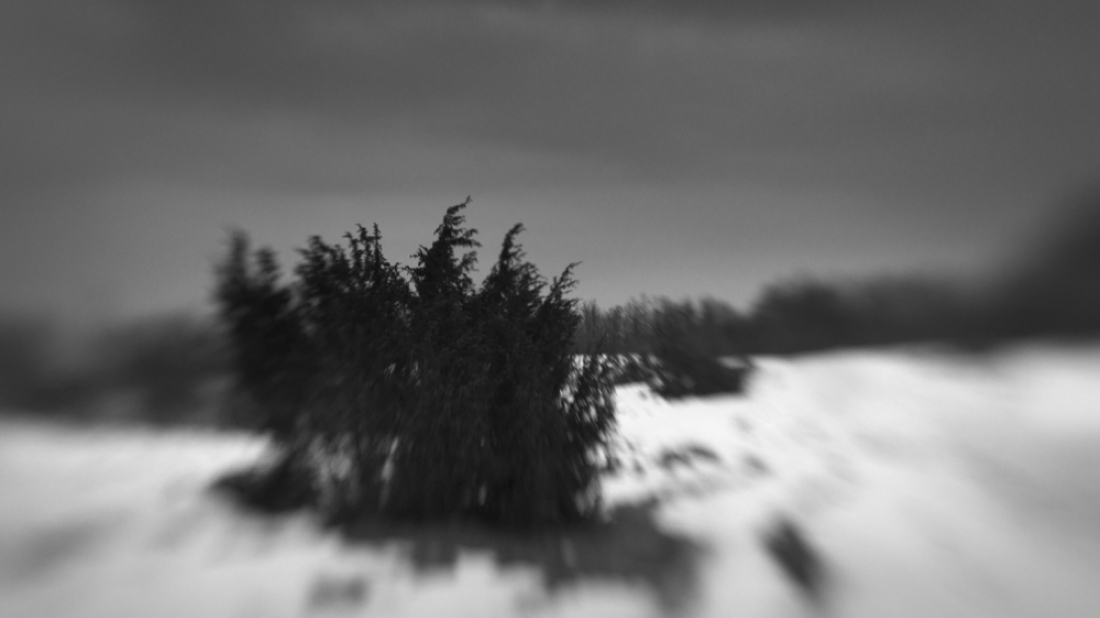 Ove subote u rovinjskom CVU Batana otvara se izložba 'Fotografija i osjetilna prisutnost'